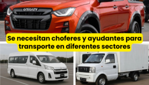 chofer y ayudante