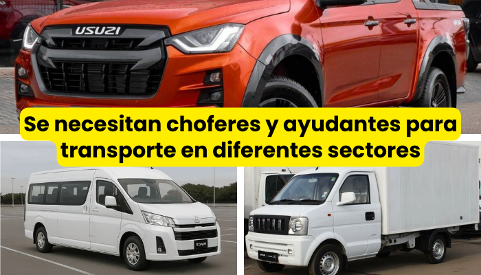 chofer y ayudante