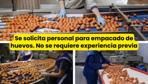 empacar huevos